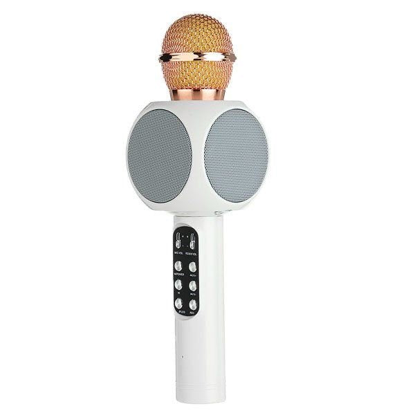 Portable Bluetooth karaoke microphone speaker