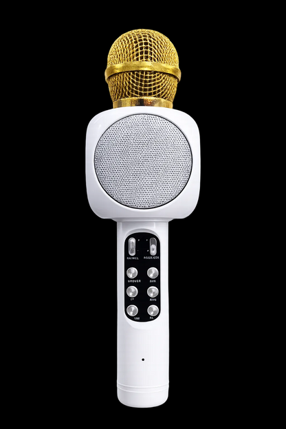 Portable Bluetooth karaoke microphone speaker