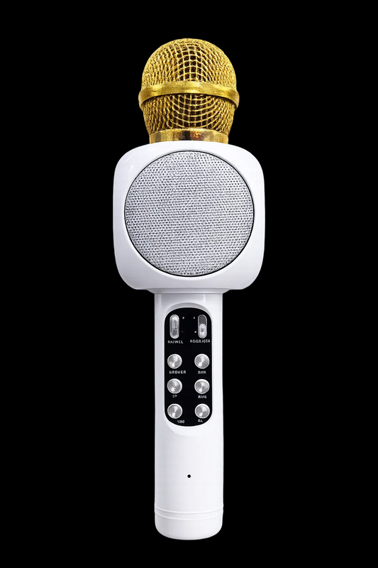 Portable Bluetooth karaoke microphone speaker